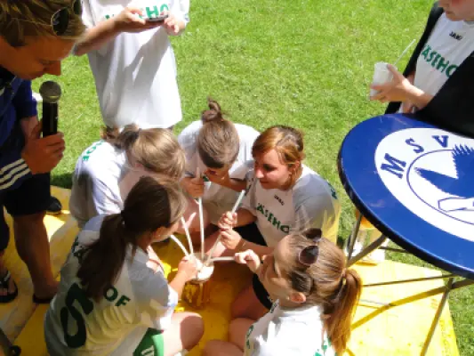 MSV Freiluftturnier 2014, Waldstadion Voglhub