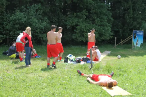 MSV Freiluftturnier 2014, Waldstadion Voglhub 19