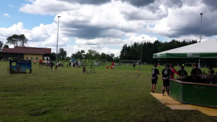 MSV Freiluftturnier 2016, Waldstadion Voglhub 30