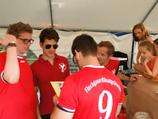 MSV Freiluftturnier 2015, Waldstadion Voglhub 39