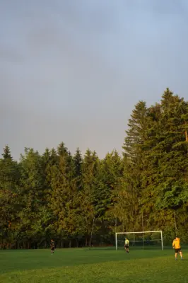 MSV Freiluftturnier 2019, Waldstadion Voglhub 29