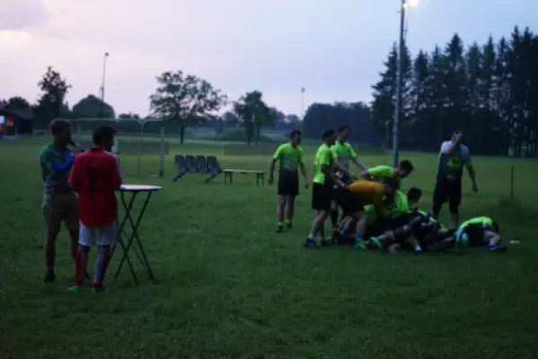 MSV Freiluftturnier 2019, Waldstadion Voglhub 96