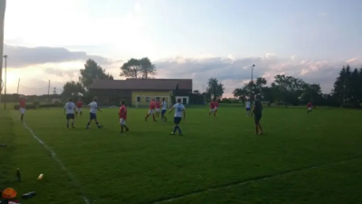 AltgegenJung 2016, Waldstadion Voglhub 9