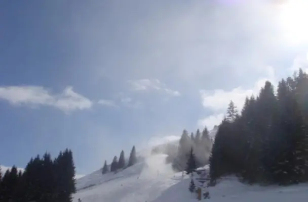 Skitage 2010, Ellmau in Tirol 8