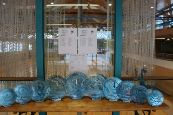 MSV Hallenturnier 2018, Strasswalchen 6