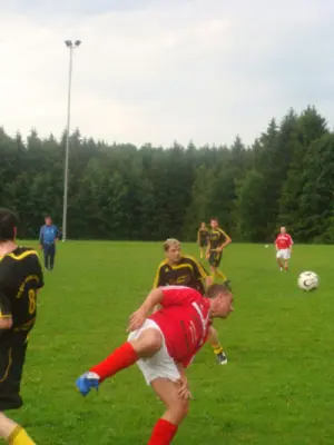 AltgegenJung 2009, Waldstadion Voglhub 4