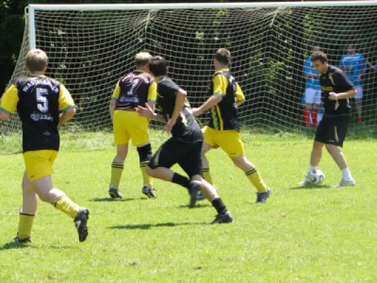 MSV Freiluftturnier 2011, Waldstadion Voglhub 20